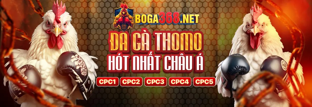 An Toàn và Công Bằng tại OXBET Casino