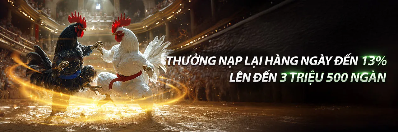 Đá gà trực tuyến kịch tính tại OXBET Casino